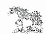 Coloring Pages Horse Herd Getcolorings sketch template