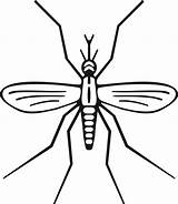 Mosquito Clipart Outline Drawing Transparent Webstockreview Collection sketch template