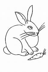 Kaninchen Ausmalbild Kostenlos Malvorlage Hase Ausmalbilder Vorlage Malvorlagen Vorlagen Okanaganchild Genial Igel Inspirierend Frühling Ausdrucken Drucken Bild sketch template