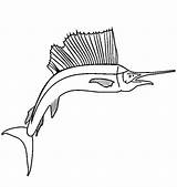 Sailfish Designlooter Swordfish sketch template