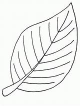 Coloring Pages Leaf Leaves Colouring Coloringpages1001 Printable Color sketch template