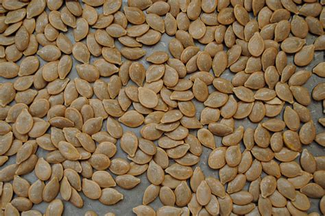 roasted pumpkin seeds confessions   midnight baker