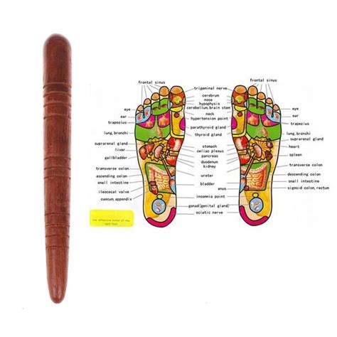 reflexology foot massage health chart with massage tool health chart