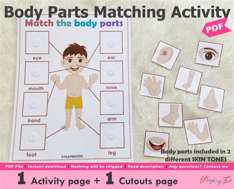 body parts matching activity printable toddler busy book etsy canada