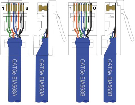 cat  phone cable wiring diagram