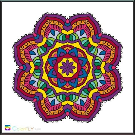 colorfly color fly colorfy