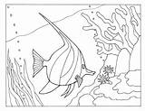 Coloring Fish Angel Pages Animals Ocean Library Sea Insertion Codes Popular Comments sketch template