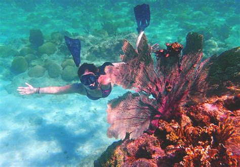 epic  guided snorkeling  curacao deviating  norm