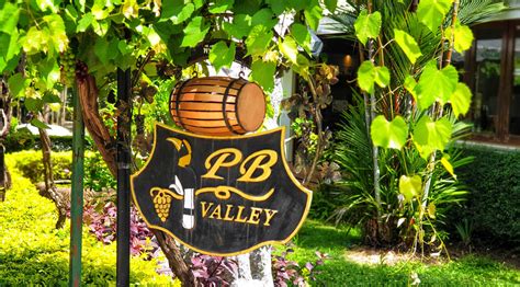thailand bisa menghasilkan anggur tentu jelajahi pb valley winery khao yai paket