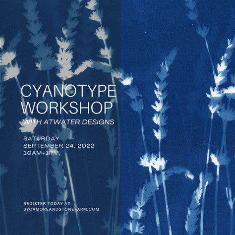 cyanotype workshop  atwater designs showit blog