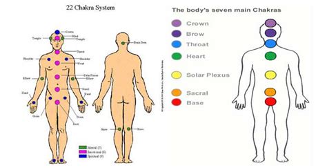 The Seven Chakras In Human Body And Kundalini Goqii