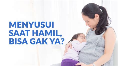 bolehkah suami menyusu pada istri saat hamil info tentang susu