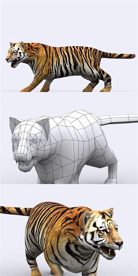 drt safari animals tiger blender  safari animals  animation