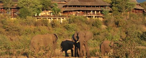 Victoria Falls Safari Lodge Zimbabwe Best African Safari