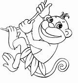 Ausmalbilder Affe Liane Affen Ausmalen Liana Druckbare Colorir Printable Macacos Malvorlage Lianas Kinder Supercoloring Luna Scribblefun Malvorlagentv Tarzan sketch template