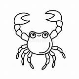 Element Outline Krabbe Crab Drawing Isolierte Weiß Entwurfszeichnung Nette Malbücher Sealife sketch template