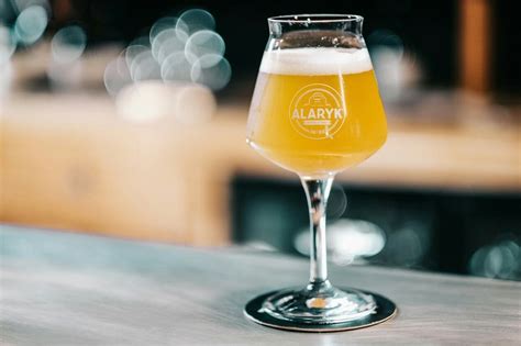 Teku Glass By Rastal For Alaryk Brewery