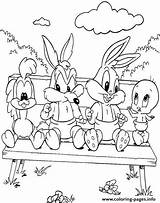 Tunes Looney Coloring Baby Pages Printable sketch template