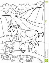 Goat Coloring Pages Mountain Getcolorings Baby Getdrawings sketch template