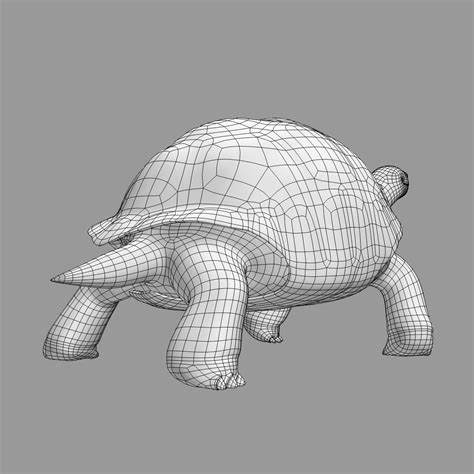 realistic giant tortoise max