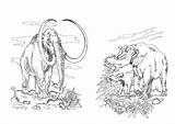 Mammut Colorare Mammoet Disegno Erbivoro Planteneters Ausdrucken Schoolplaten sketch template