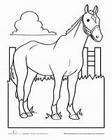 Horse Worksheet Coloring Education Preschool Color sketch template