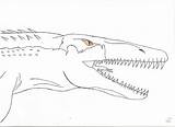 Mosasaurus Jurassic Tylosaurus Deviantart sketch template