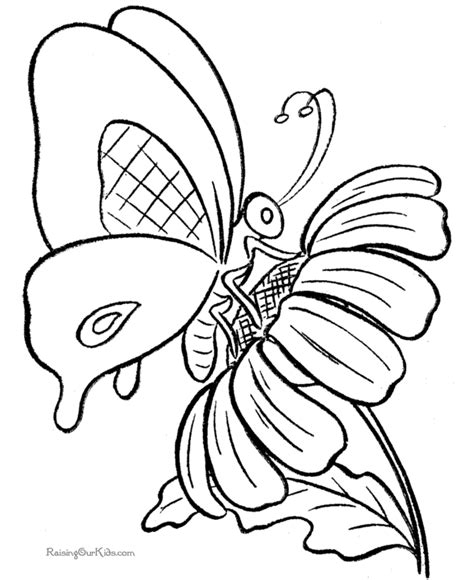 butterflies colouring pages