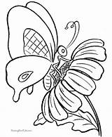 Coloring Butterfly Pages Printable Flower Kids Cartoon Drawing Butterflies Clipart Color Sheets Print Outline Printing Adult Clip Designs Help Comment sketch template