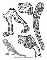 Dinosaur Bones Dinosaurs Bone Preschool Skeleton Printable Kids Worksheets Activities Crafts Lesson Plans Fossil Craft Fossils Mailbox Worksheet Activity Dig sketch template