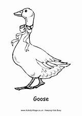 Goose Geese Gans Activityvillage Beatrix Ausmalbild Redwork sketch template