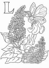 Coloring Pages Fairy Adult Flower sketch template