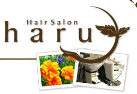 hair salon haru