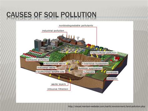 soil pollution   effects  soil pollution   porn website