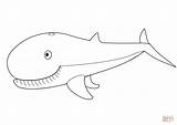 Capodoglio Whale Stampare Lusso sketch template