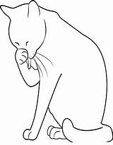 Katze Putzt Ausmalbild Katzen Ausdrucken Dein Gemerkt sketch template