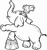 Elephant Coloring Pages Circus Kids Printable Elephants Color Gif sketch template