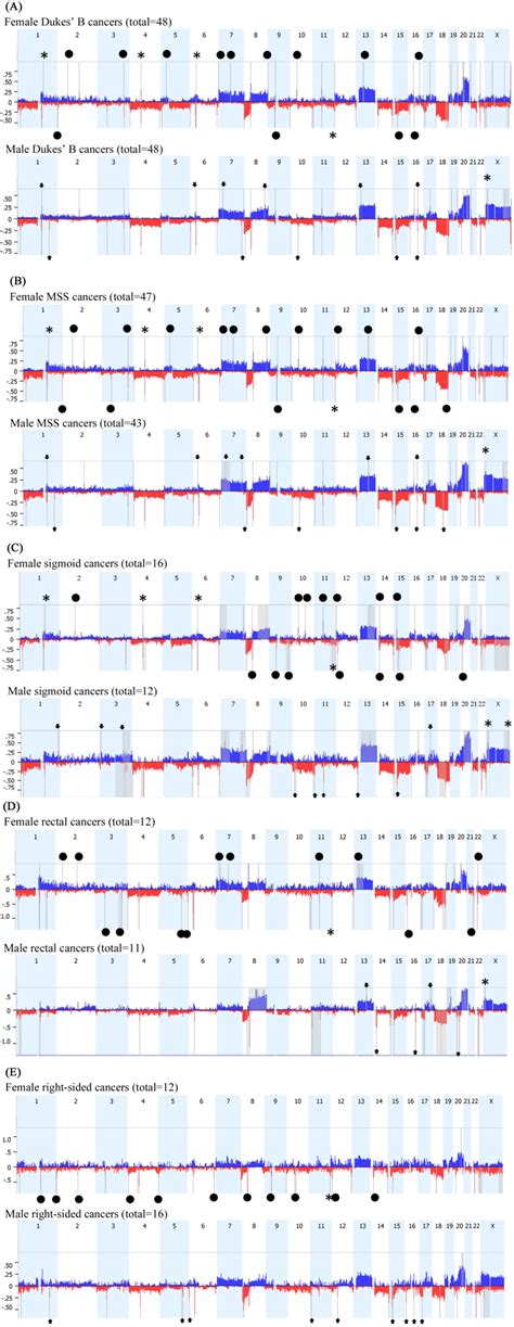 Ijms Free Full Text Gender Associated Genomic Differences In
