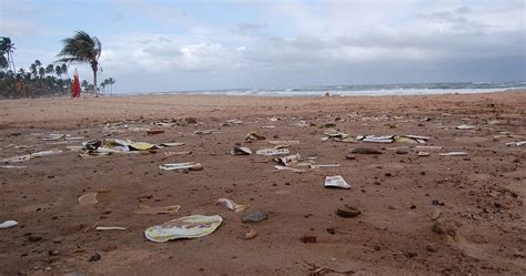 lixo nas praias de salvador chega a 50 toneladas diárias saiba quais