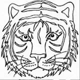 Coloring Tiger Face Mask Pages Printable Template Drawing Color Head Animal Print Siberian Tigers Er Animals Realistic Getdrawings Getcolorings Sketch sketch template