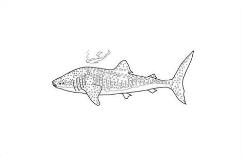 shark coloring pages  ai