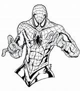 Spiderman Coloring Pages Ultimate Getcolorings Printable sketch template