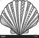 Shell Seashell Outline Drawing Drawn Abstract Doodle Hand Illustration Vector Sea Line Decorated Illustrations Drawings Shutterstock Mandala Ornaments Draw Shells sketch template