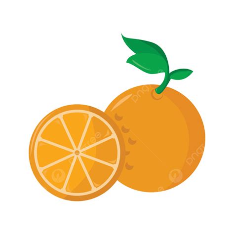 gambar vektor buah jeruk vektor oranye png oranye vektor buah png