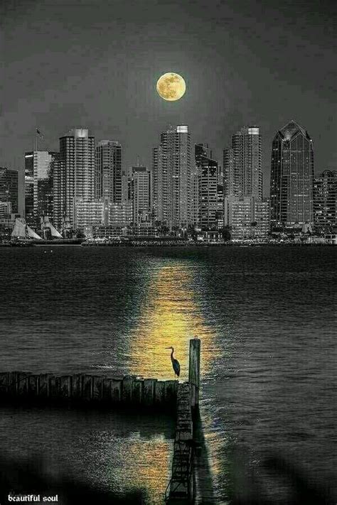 Пин от пользователя oleg felix на доске foto Луна Лунный свет и Красота