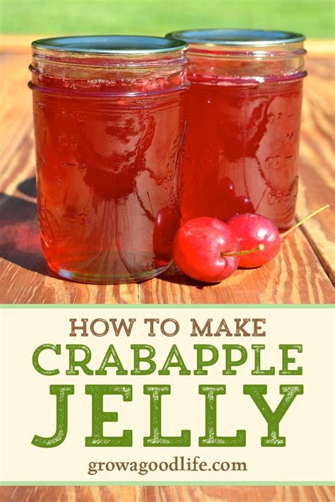 crabapple jelly crabapple jelly recipe jelly recipes canning recipes