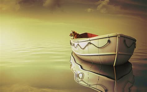 life  pi boat tiger wallpapers hd wallpapers id