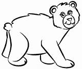 Urso Divertidos Clipartmag Drawing Poplembrancinhas sketch template