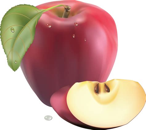 png apple image clipart transparent png apple