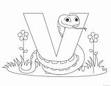 Coloring Alphabet Pages Letter Printable Animal Kids Worksheets Viper Traceable Print Letters Worksheet Preschool Color Activities Abc Bestcoloringpagesforkids Alphabets Getdrawings sketch template